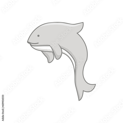 dolphin isolated on white background