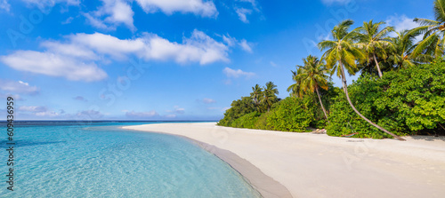 Fototapeta Naklejka Na Ścianę i Meble -  Tropical paradise island with idyllic lagoon. Tranquil exotic honeymoon travel destination of Indian ocean. Palm trees white sand serene sea sky shore. Relaxing summer beach landscape. Peaceful nature
