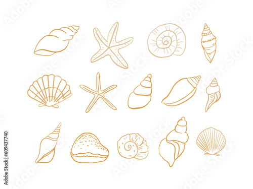 set of seashells