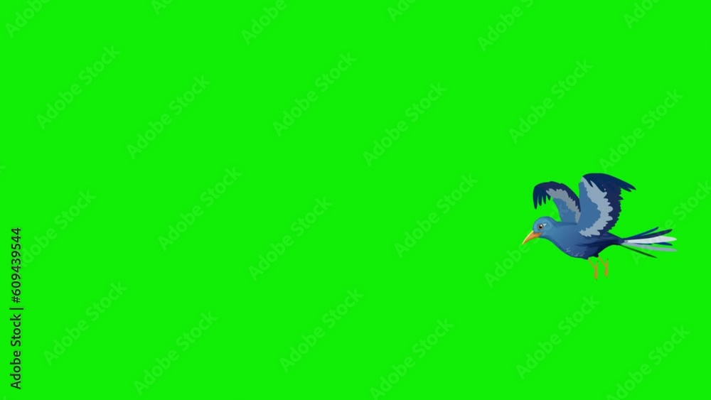 2d bird flying frame by frame animation 4k screen green