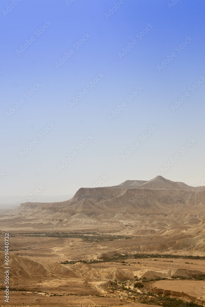 Desert canoyn landscape