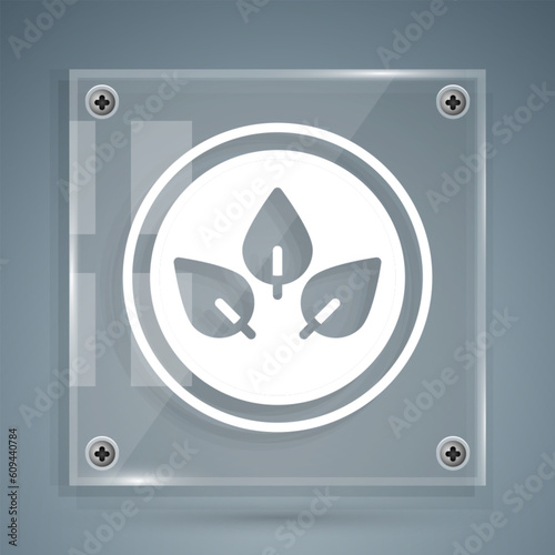 White Vegan food diet icon isolated on grey background. Organic, bio, eco symbol. Vegan, no meat, lactose free, healthy, fresh and nonviolent food. Square glass panels. Vector