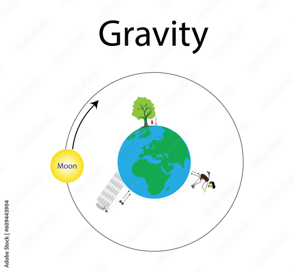 illustration of physics, motion of a free falling object, In vacuum all