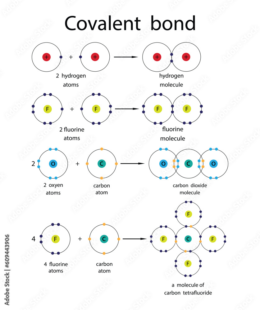 illustration of chemistry, Covalent bond, covalent bonds including ...