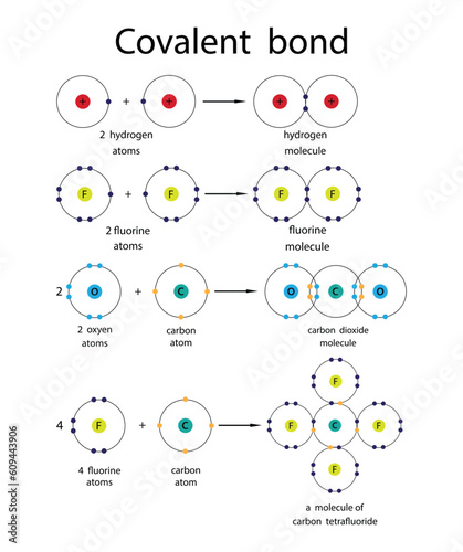illustration of chemistry, Covalent bond, covalent bonds including single, double, and triple bonds, Scientific Designing Of Covalent Bond Types