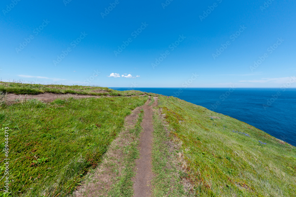 A narrow footpath or hiking trail along the edge of a high cliff with the deep blue Atlantic Ocean below. The path is surrounded by vibrant green grass and a steep slope to the right with a blue sky.