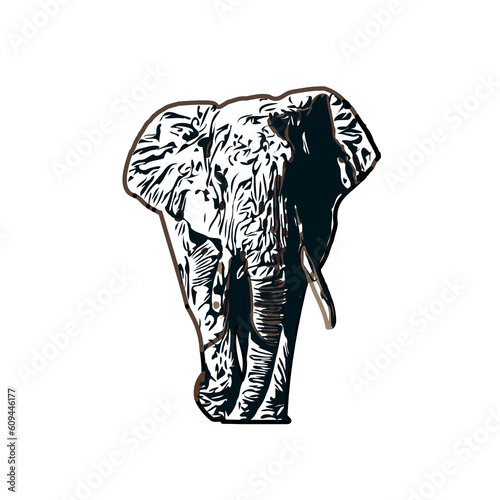 sketch of an elephant with transparent background