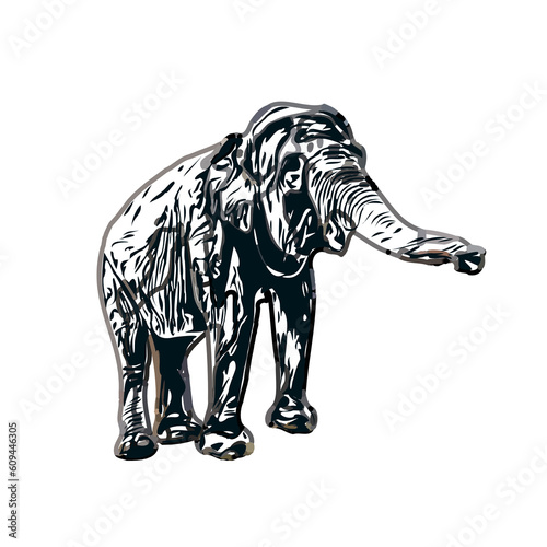 sketch of an elephant with transparent background