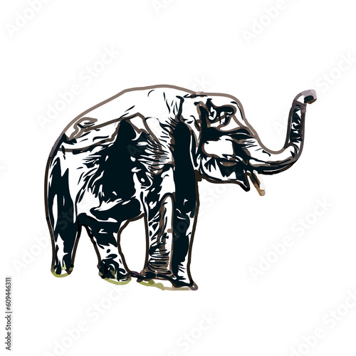 sketch of an elephant with transparent background