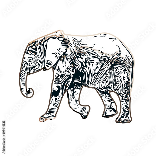 sketch of an elephant with transparent background