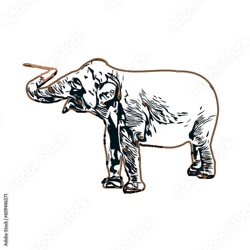 sketch of an elephant with transparent background