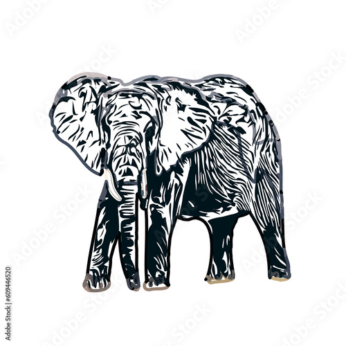 sketch of an elephant with transparent background