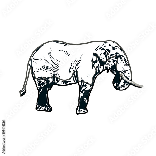sketch of an elephant with transparent background