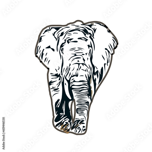 sketch of an elephant with transparent background