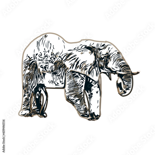 sketch of an elephant with transparent background
