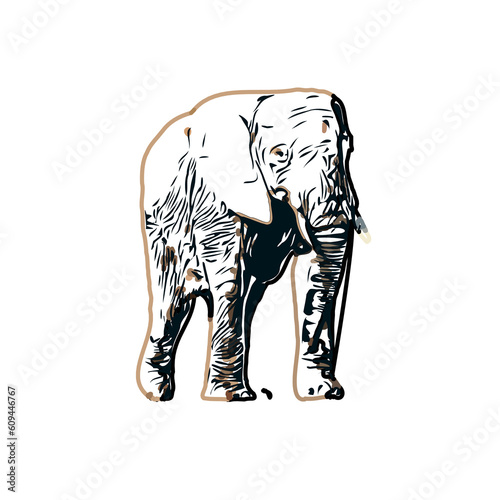 sketch of an elephant with transparent background
