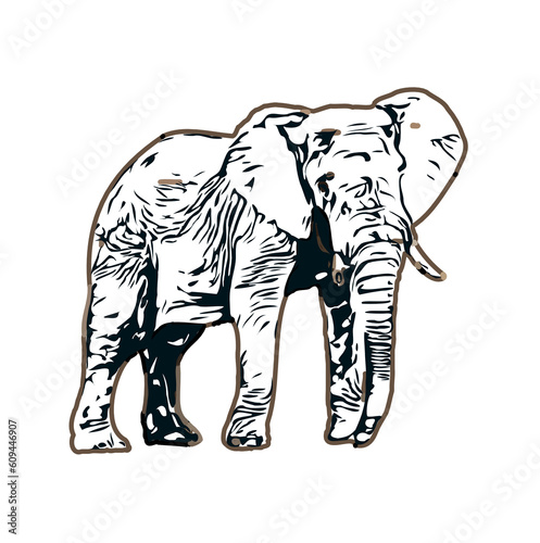 sketch of an elephant with transparent background