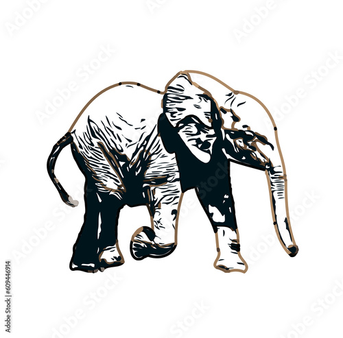 sketch of an elephant with transparent background
