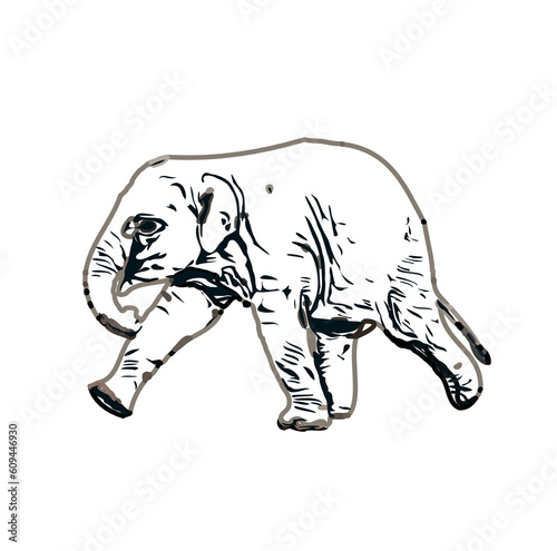 sketch of an elephant with transparent background