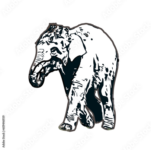 sketch of an elephant with transparent background