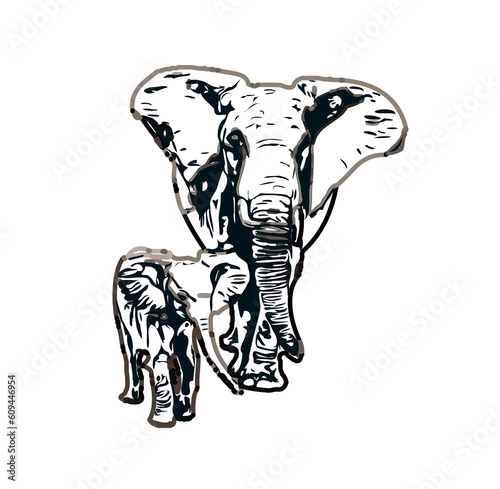 sketch of an elephant with transparent background