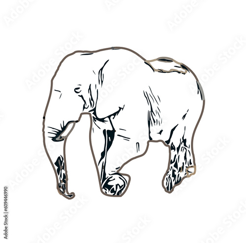 sketch of an elephant with transparent background