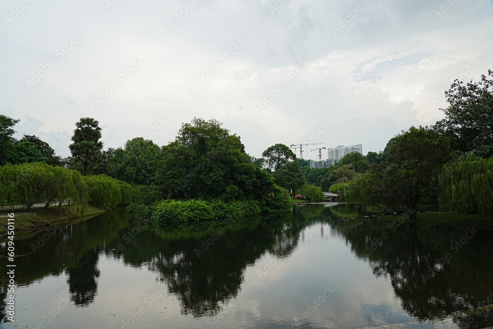 the river in the park