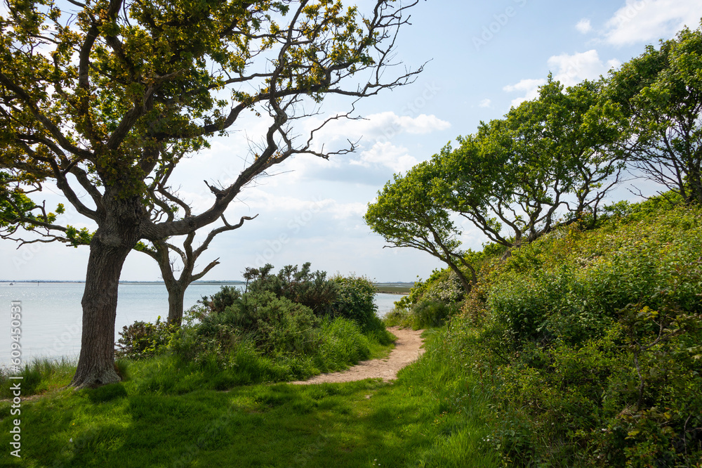 Coastal footpath along Chichester Harbour at Chidham, West Sussex, UK