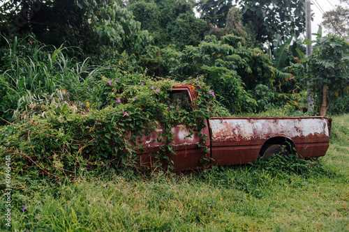Overgrown car. Old abandoned car in rust is absorbed by nature. © grthirteen
