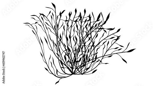 Tree branches with Leaves Shilouette used for floral design resources, invitation, black and white background