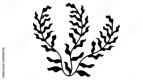 Tree branches with Leaves Shilouette used for floral design resources, invitation, black and white background