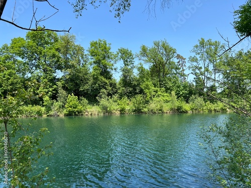 Summer atmosphere in the Old Rhine Nature Park  Lustenau  Austria  - Vorfr  hlings Stimmung im Naturpark Alter Rhein oder Naturpark am Alten Rhein  Lustenau -   sterreich  Osterreich or Oesterreich 