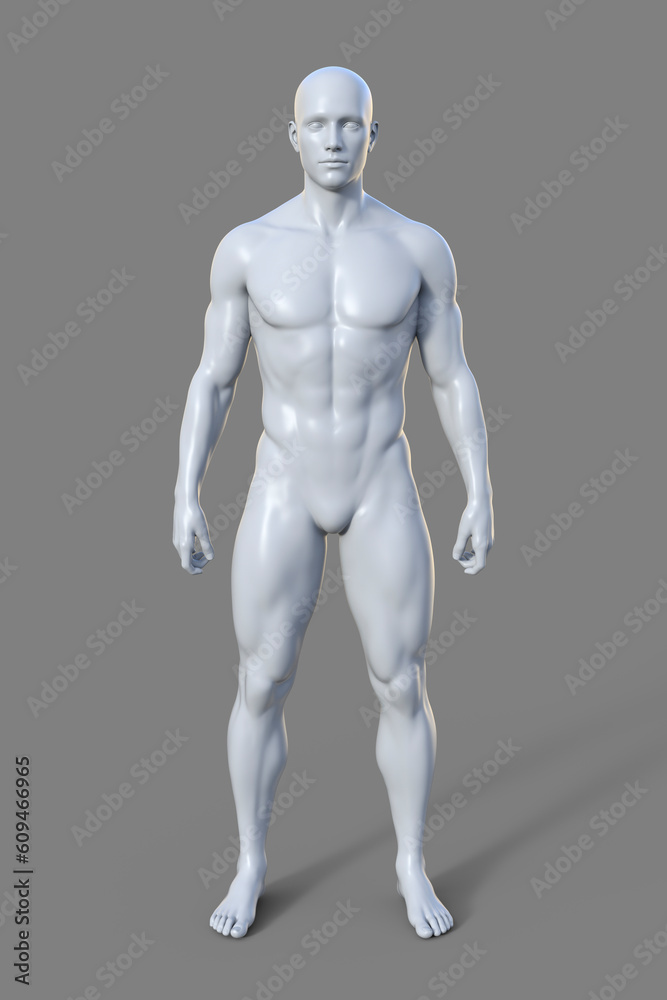 A 3D illustration of a male body with mesomorph body type