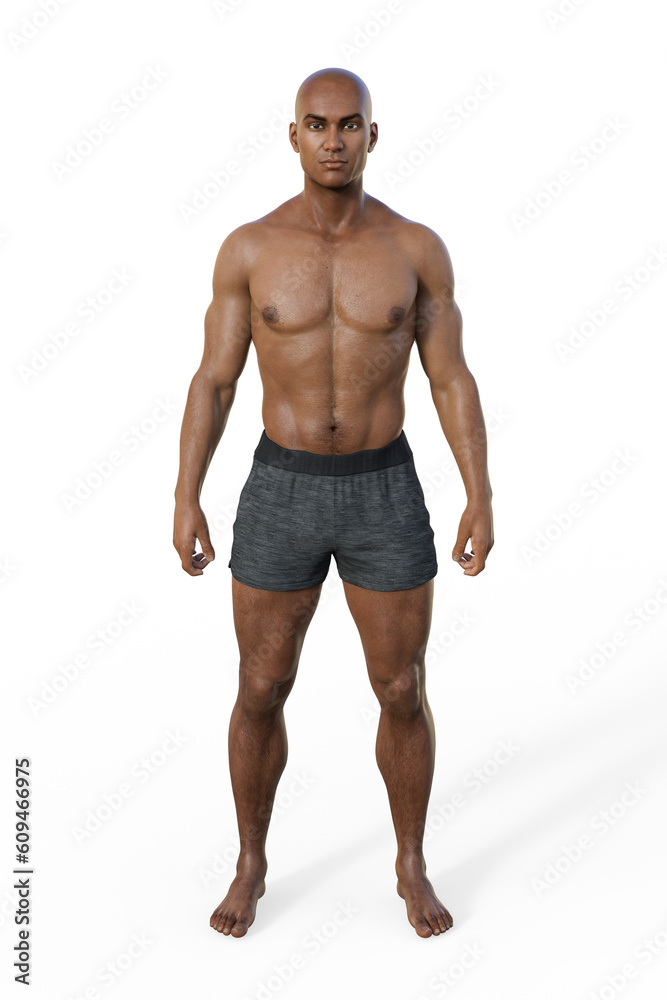 Fototapeta premium A 3D illustration of a male body with mesomorph body type