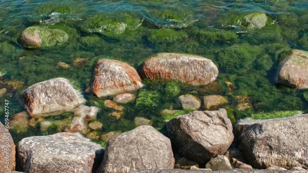 Seashore Rocks with Thick Green Seaweed Moved by Waves Resembling Sea Monster Head Seashore Rocks with Thick Green Seaweed Moved by Waves Resembling Sea Monster Head