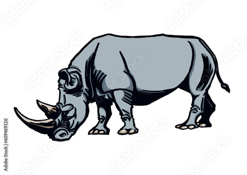 Fototapeta Naklejka Na Ścianę i Meble -  Vector color  illustration of rhino isolated on white background, grey rhinoceros 