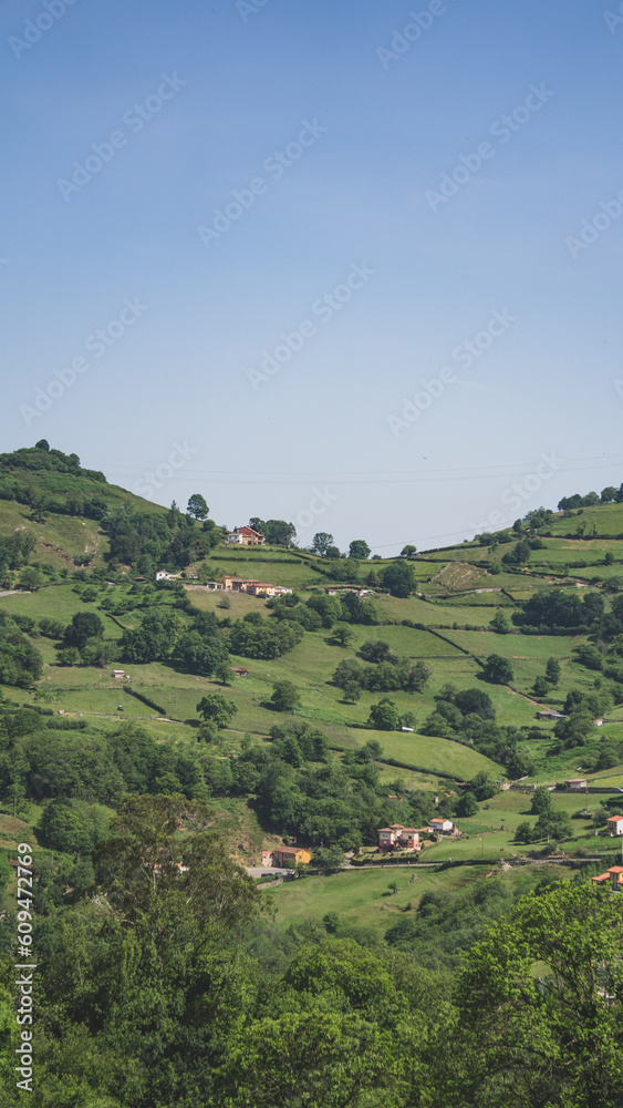 Fototapeta premium Landscape of the green countryside with houses on the hill