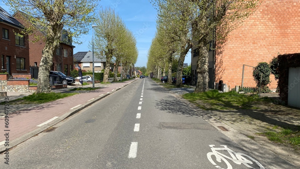 Bandes de circulation à l'une des rues arborées de Kessel-Lo à Louvain Bandes de circulation à l'une des rues arborées de Kessel-Lo à Louvain