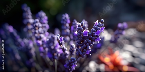 AI Generated. AI Generative.  Lavender plant flower macro shot photo illustration. Graphic Art