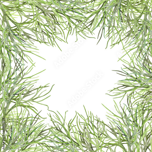 Young green dill, spice, seasoning, herb isolated on white background. Watercolor illustration. Frame for postcard, banner or border. For product design, packaging, cuisine, ingredient and condiment.