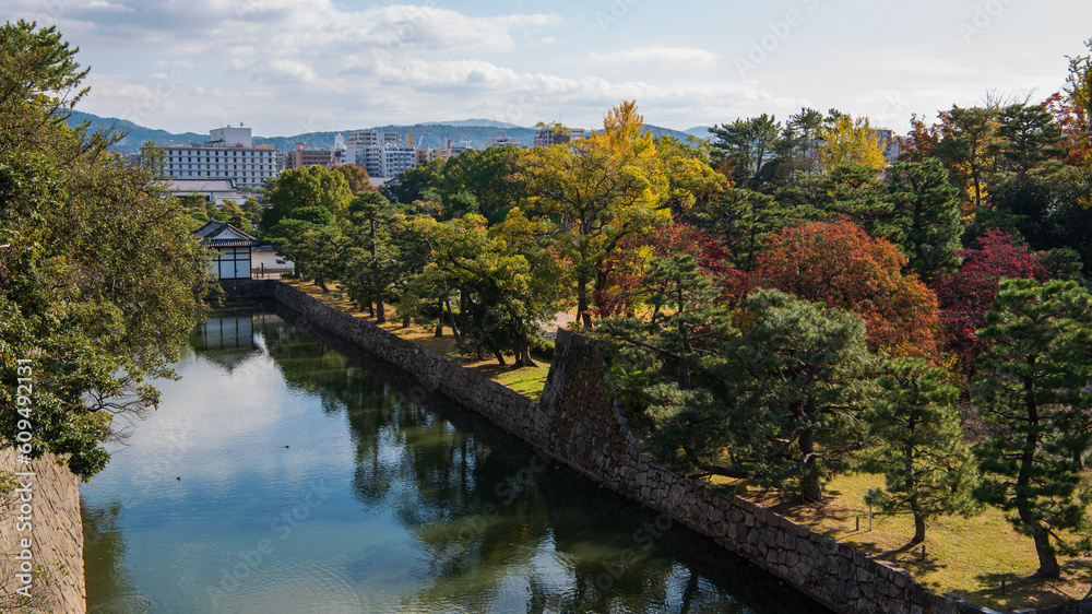 Fototapeta premium autumn in the park