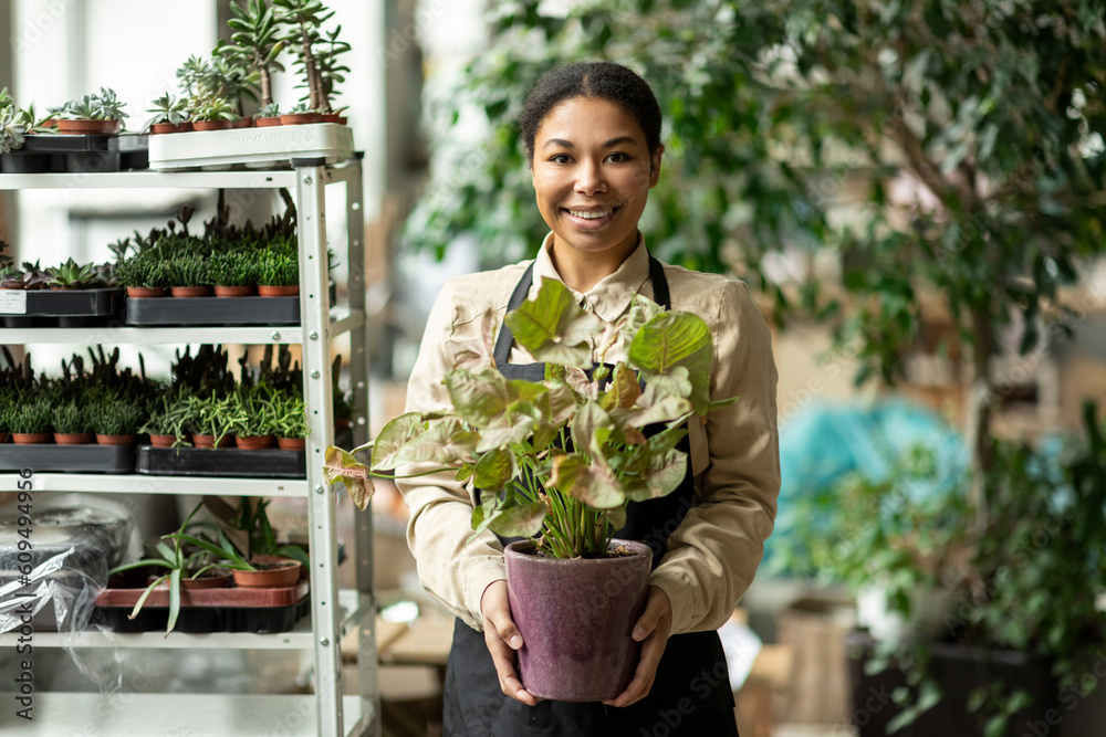 Plant store owner. Black female gardener holding houseplant and smiling, working in greenhouse, small business success concept. Freelance woman florist in home garden or flower shop