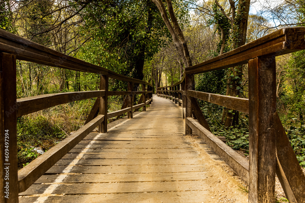 A wooden pedestrian bridge through a forest in spring outdoors