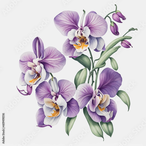 watercolor orchids clipart, hd, on white background