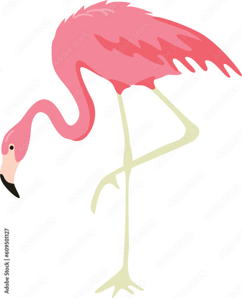 Fototapeta premium Pink flamingo vector tropical art. Tropical exotic animal bird.