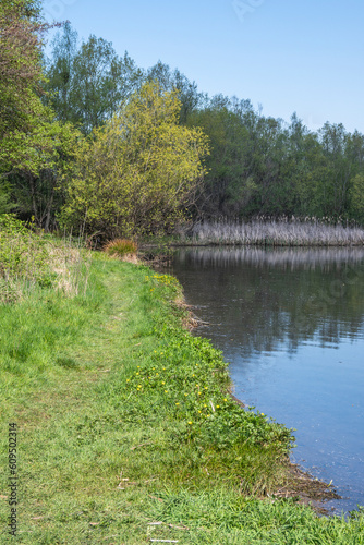 Spring Landscape of Pancharevo lake, Bulgaria