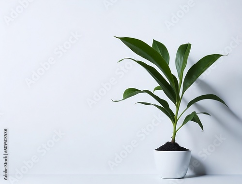 A houseplant on a white background, created with Generative AI technology. 