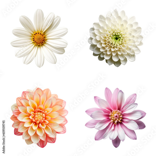 Selection of Various Flowers Isolated on Transparent Background. Created with Generative AI Technology