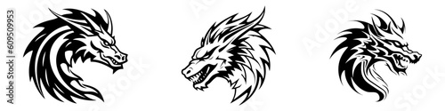 Dragon emblem logo set. Dragon head, circle vector icon collection