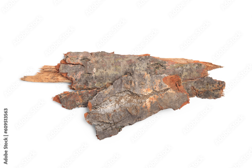 Tree bark pieces isolated on white, top view Tree bark pieces isolated on white, top view